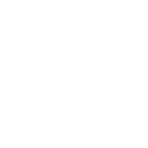 Gossip Store